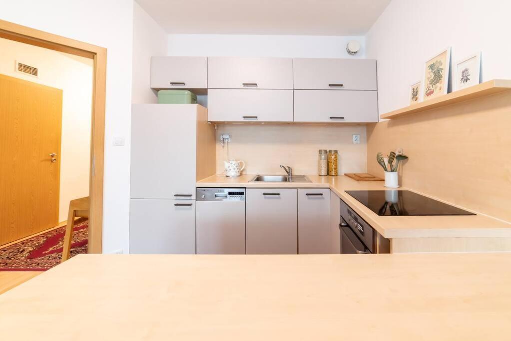 Grape Apartment Bratysława Zewnętrze zdjęcie